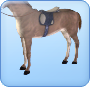 Marquage ombre Sims 3 pour les chevaux