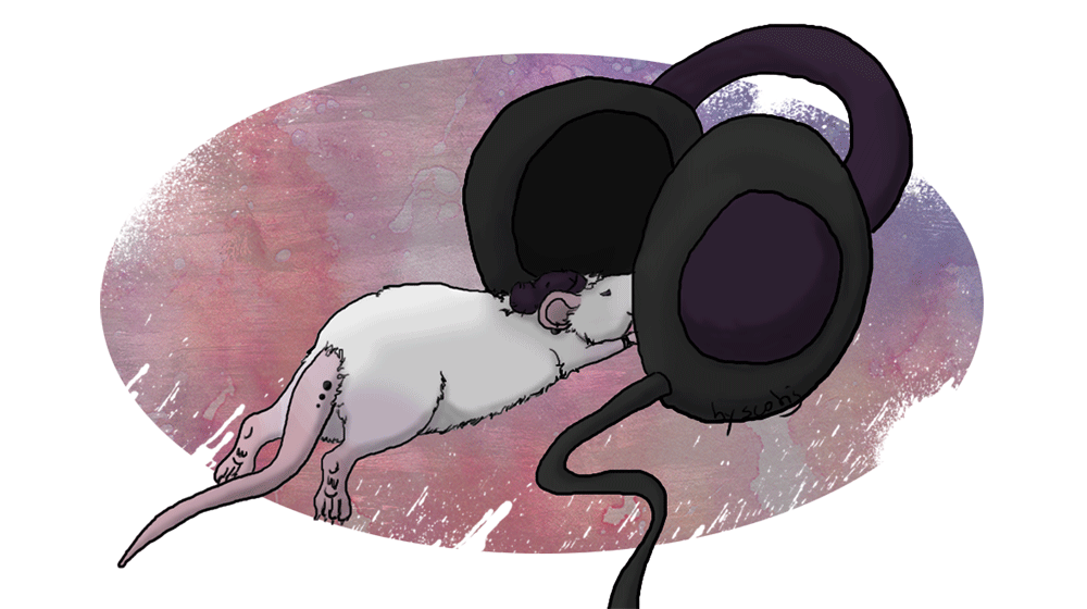 Dessin d'un rat punk écoutant de la musique par Scotis