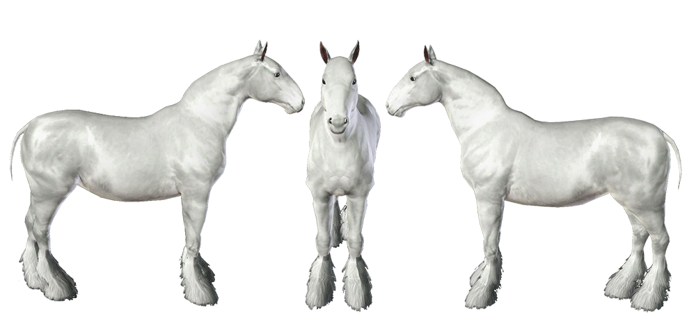 Template de cheval de trait Shire pour le jeu Sims 3 par Scotis