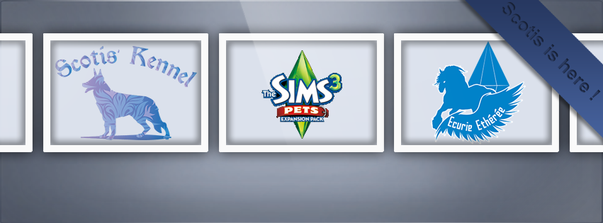 Couverture Facebook Sims 3 Pets