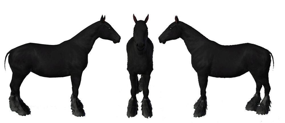Template de cheval de trait Shire pour le jeu Sims 3 par Scotis