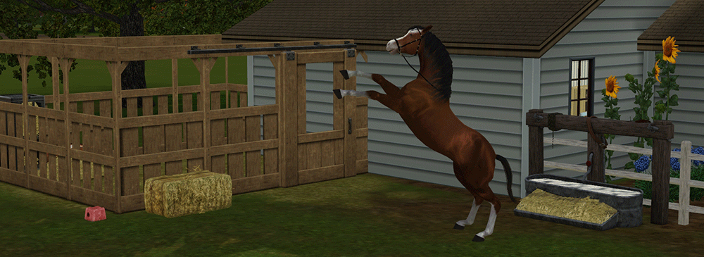 Téléchargement de contenu personnalisé pour chevaux et écuries (Téléchargement Sims)