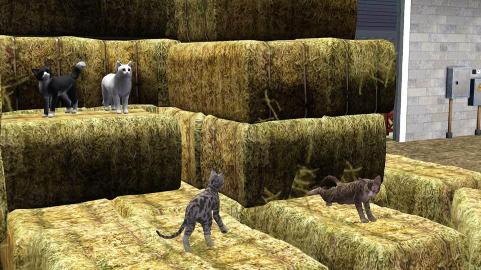 Screenshots Sims 3 : les chats de l'écurie éthérée