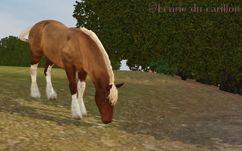Screenshots Sims 3 : jument alezan silver rouan