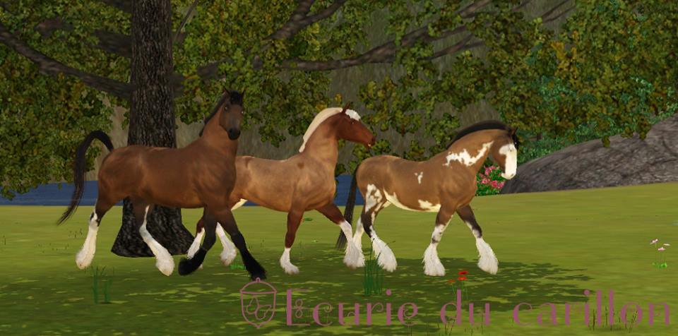 Screenshots Sims 3 : troupeau de chevaux Traits des plaines