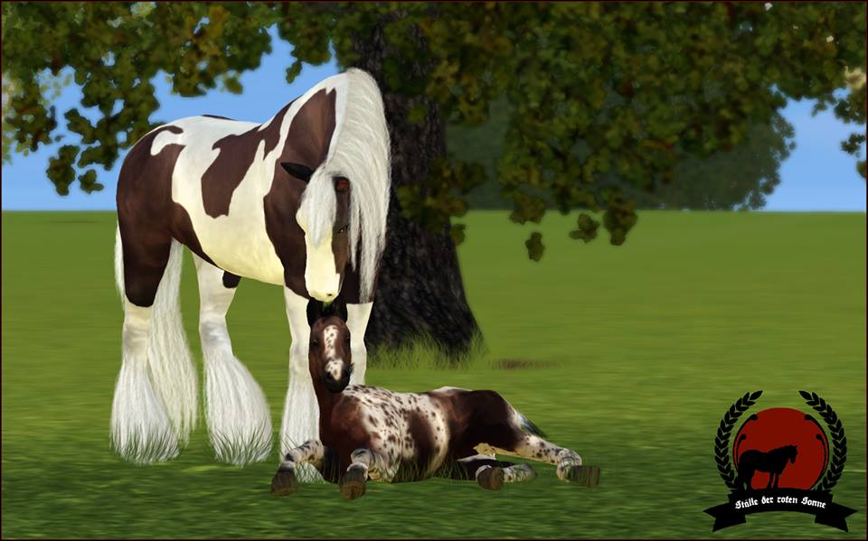 Screenshots Sims 3 : naissance poulain irish cobs