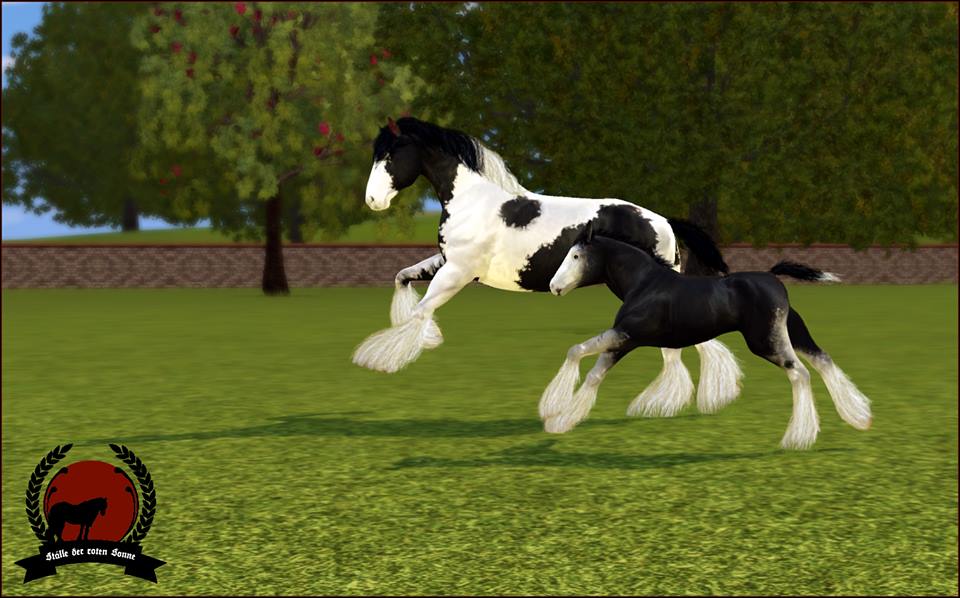 Screenshots Sims 3 : irish cob au galop