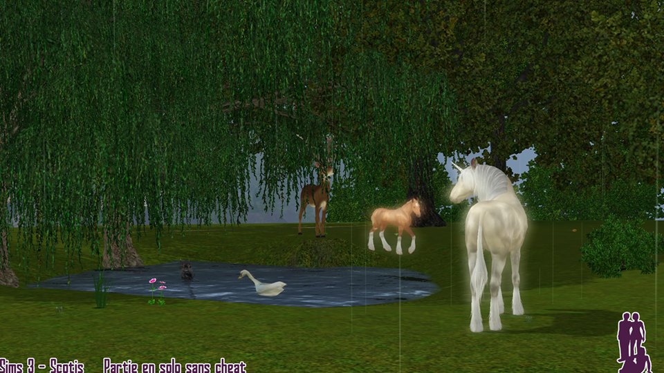 Screenshots Sims 3 : licornes et poulains licornes autour d'un lac