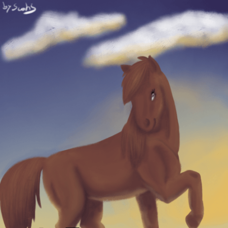 Un cheval alezan devant un ciel