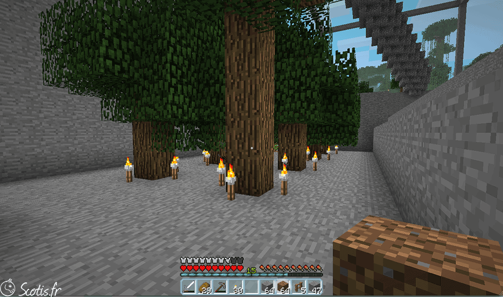 Ferme à arbre Minecraft