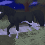 Cheval au clair de lune