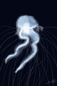 Croquis de méduse