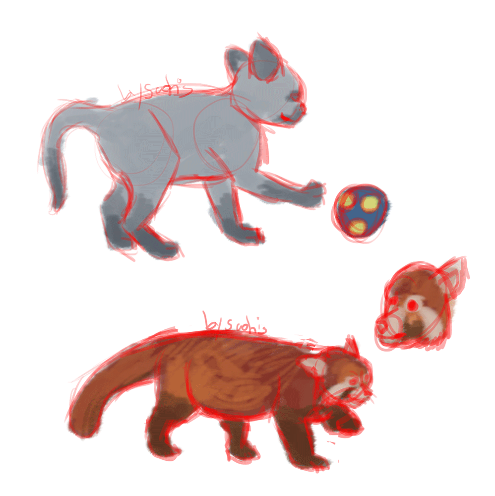 Petit chat mignon et un panda roux par Scotis