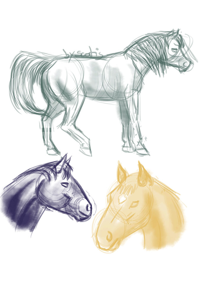 Quelques chevaux dessiné par Scotis
