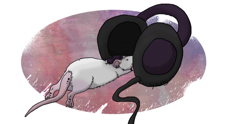 Dessin d'un rat punk écoutant de la musique par Scotis