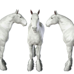 Template Shire 2 (Téléchargement Sims 3)