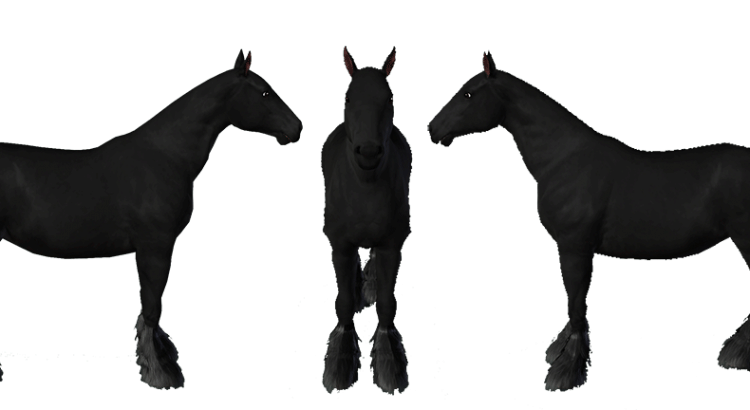 Template de cheval de trait Shire pour le jeu Sims 3 par Scotis