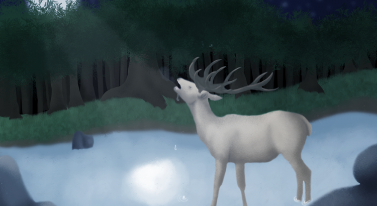Dessin cerf buvant au clair de lune