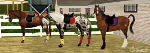 Couleur d'équipement de son cheval Sims 3