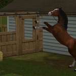 Téléchargement Sims 3 équestre (spécial chevaux et écuries)