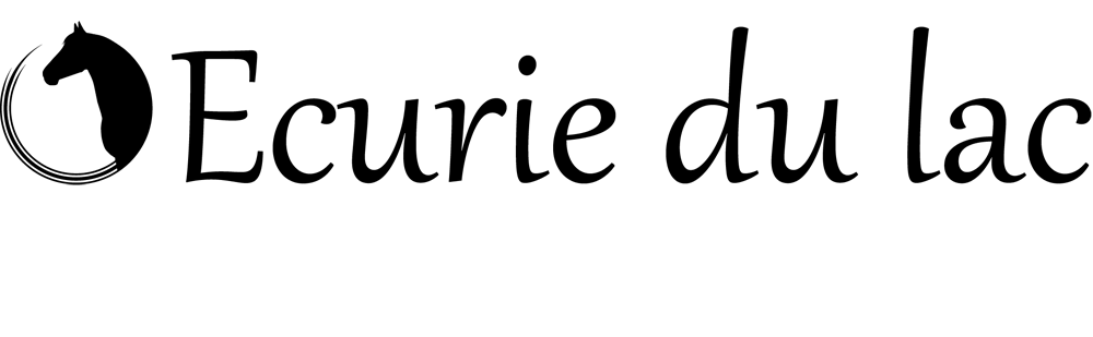 Exemple de logo pour une écurie Sims 3 fictive