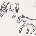 Cheval et ânons