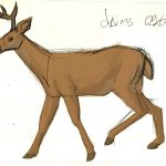 Daims