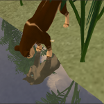 Mes meilleurs screens sur FeralHeart