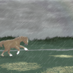 Sodas sous la pluie
