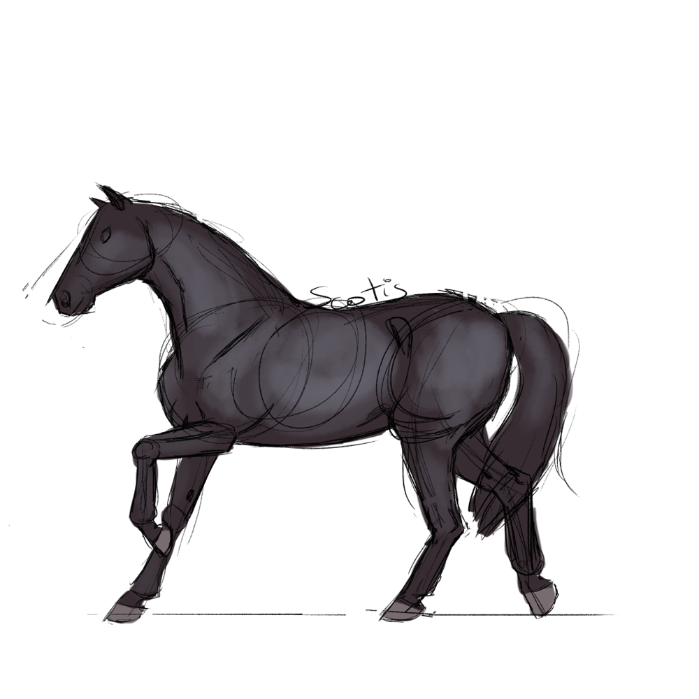 Cheval de selle noir au trot, croquis par Scotis