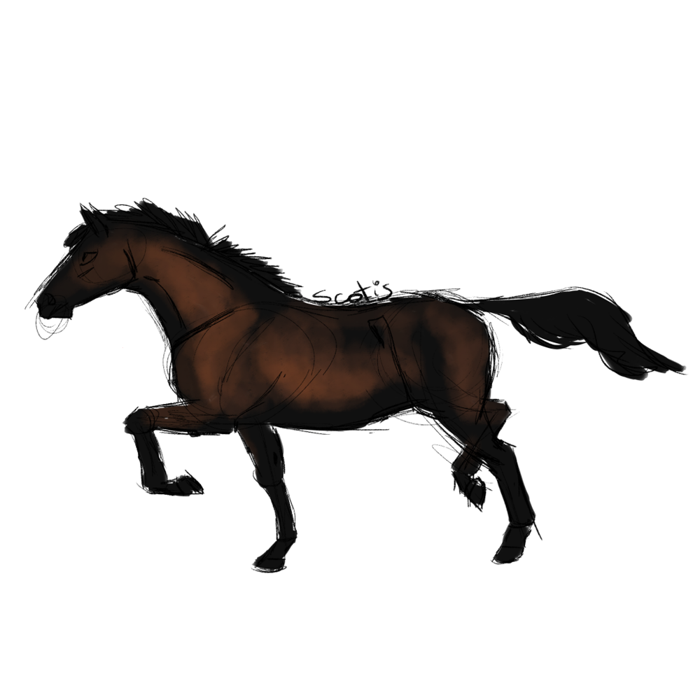 Cheval de selle bai au trot, sketch par Scotis
