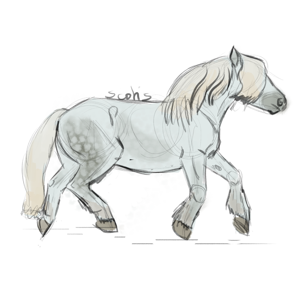 Cheval de trait gris au trot, sketch par Scotis
