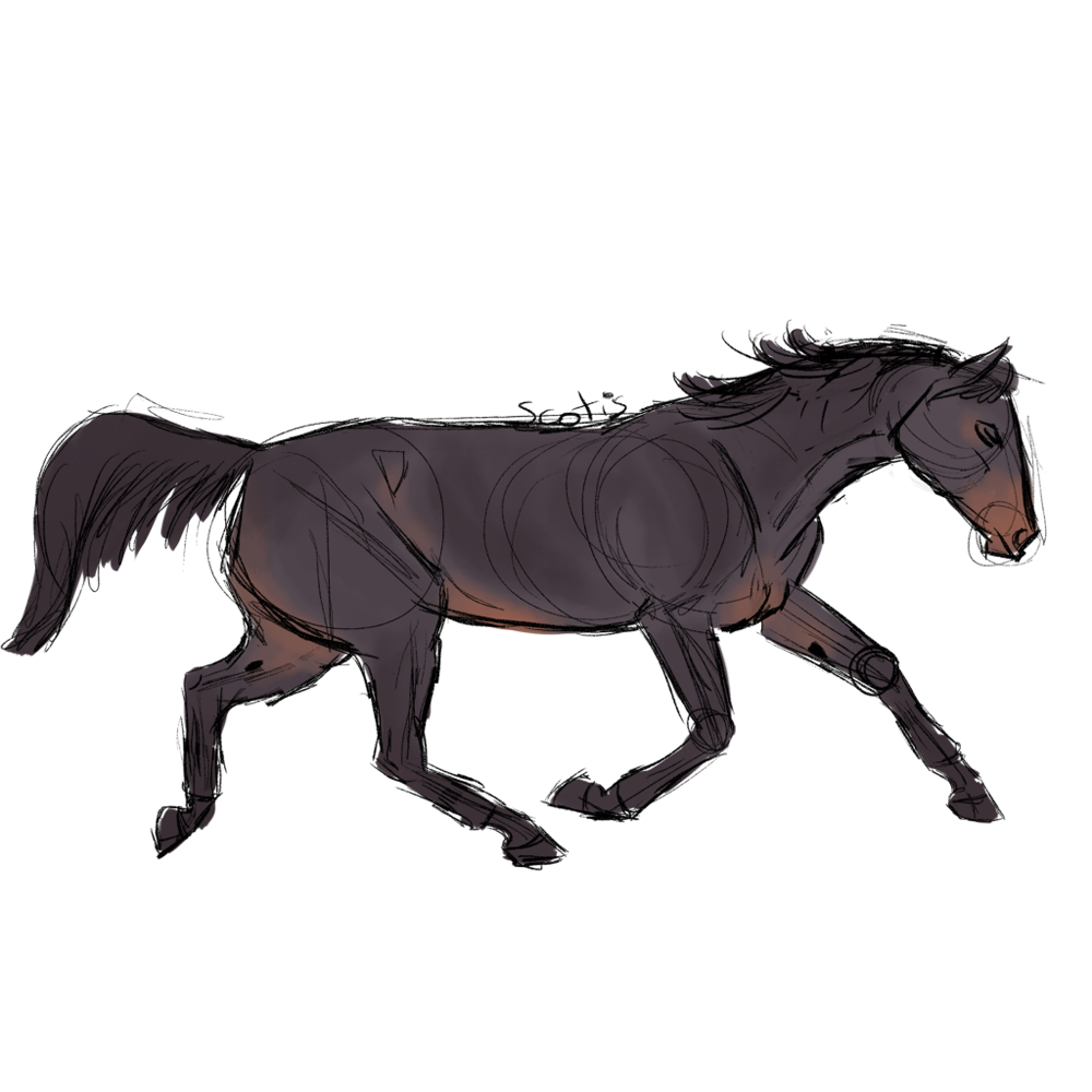 Cheval de selle noir au trot, sketch par Scotis