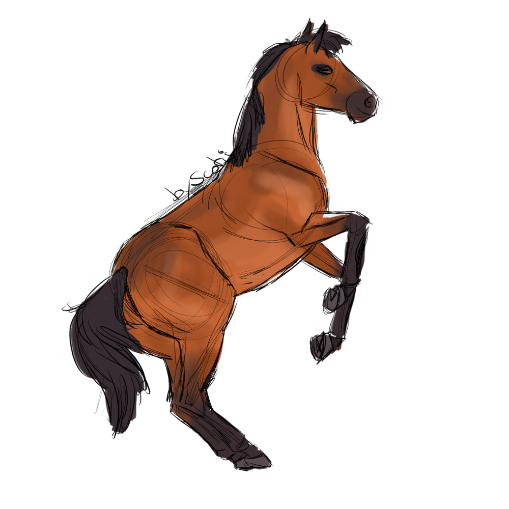 Cheval de selle bai ruant, sketch par Scotis