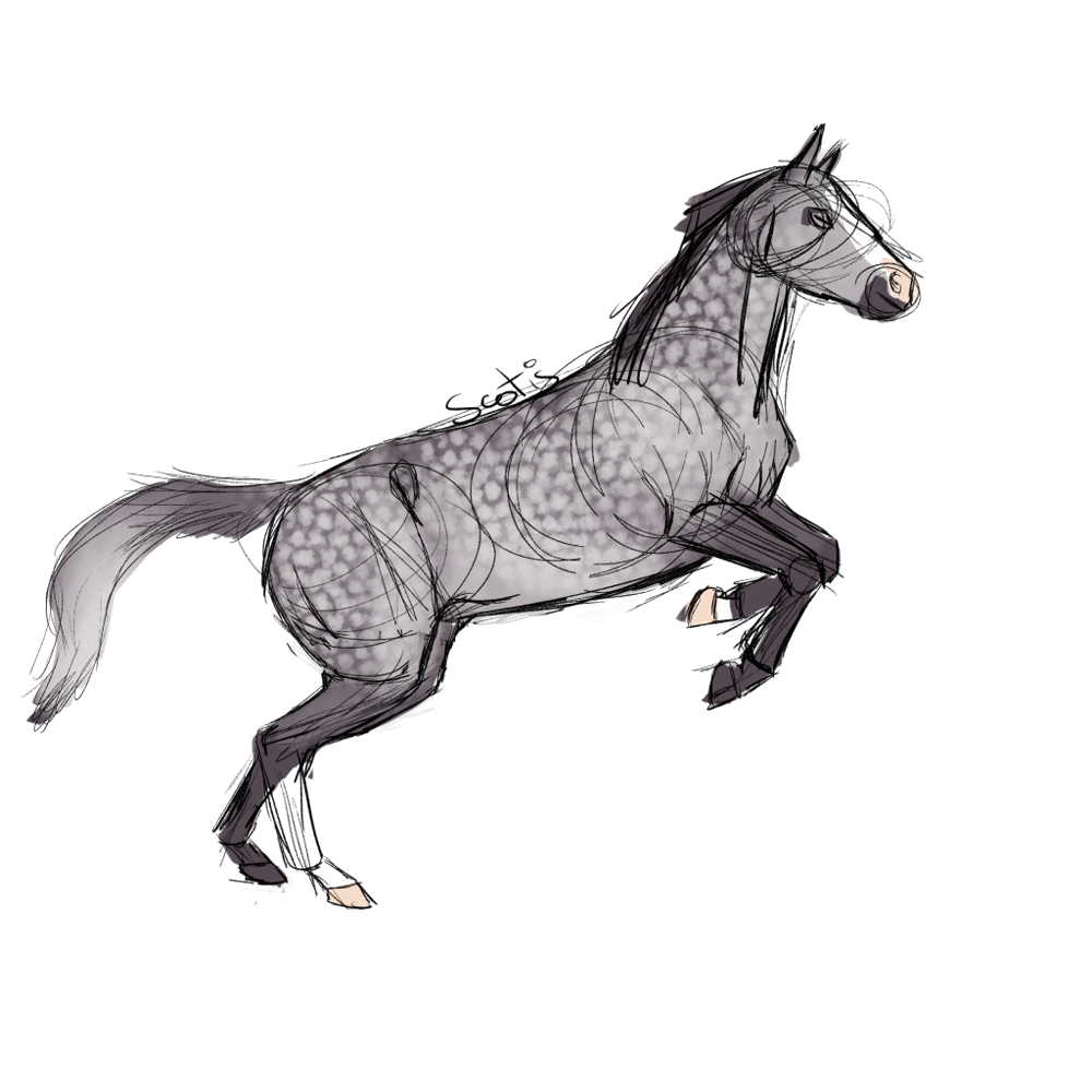 Cheval de selle gris cabrant, sketch par Scotis