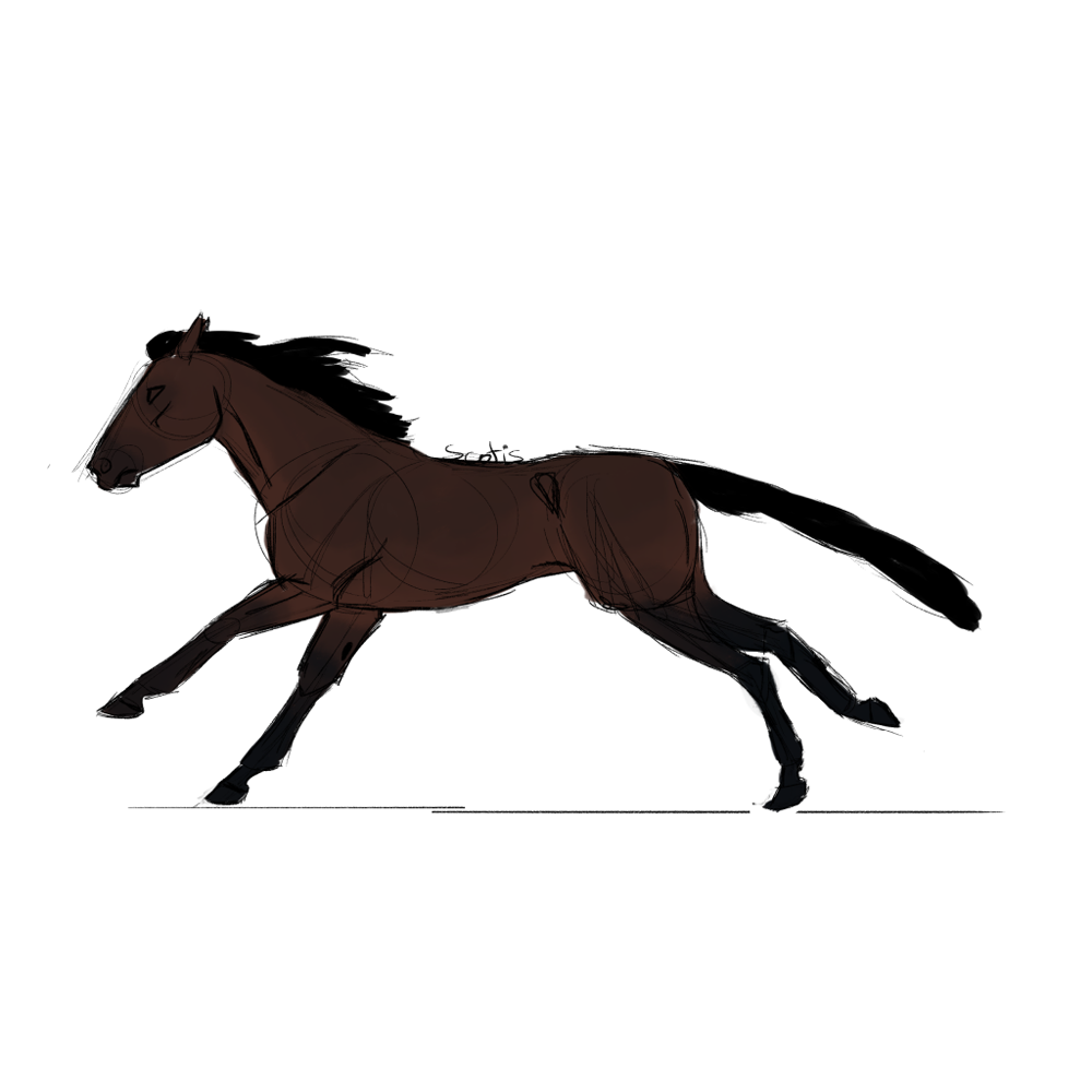 Cheval de selle bai au galop, croquis par Scotis