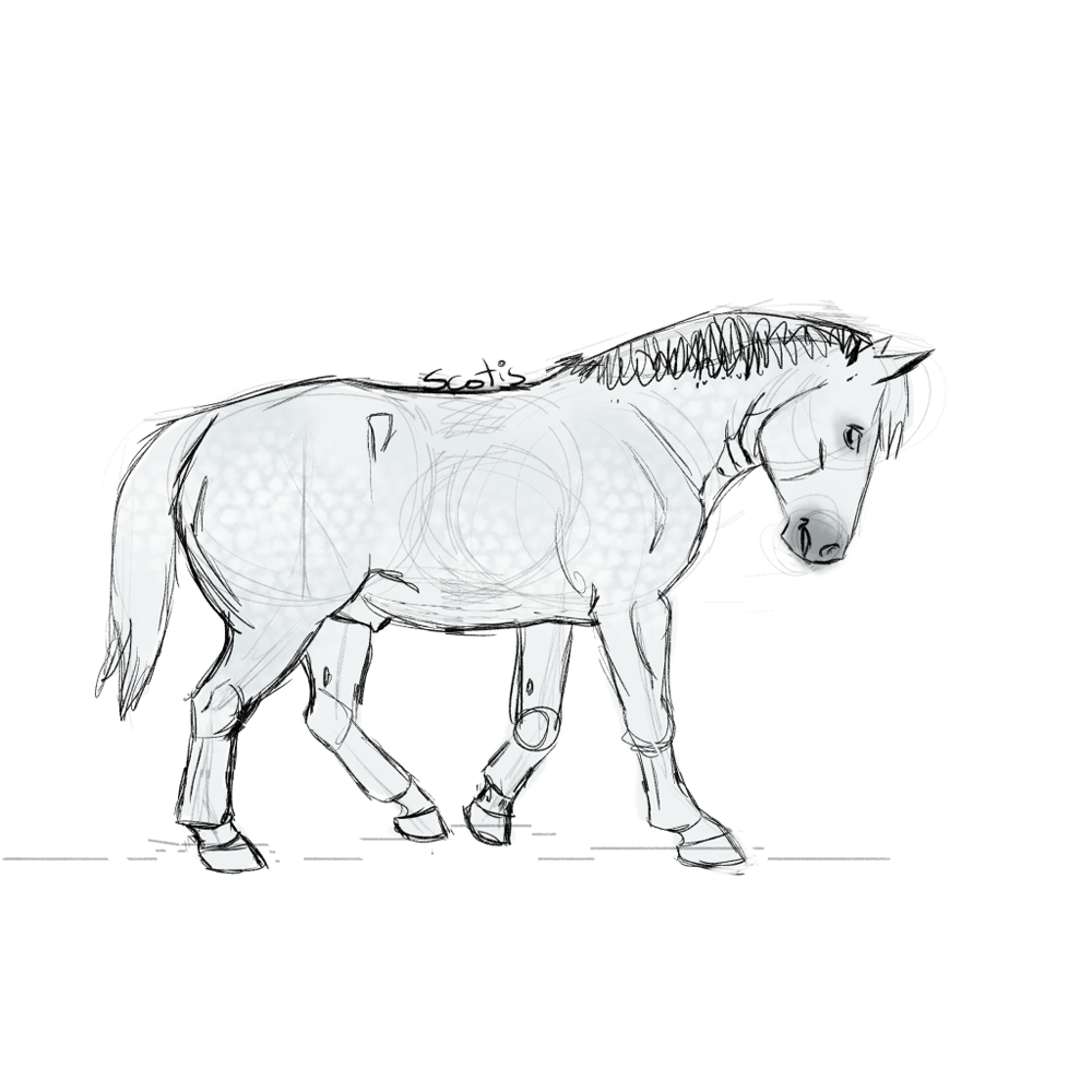 Cheval de trait gris au pas, croquis par Scotis