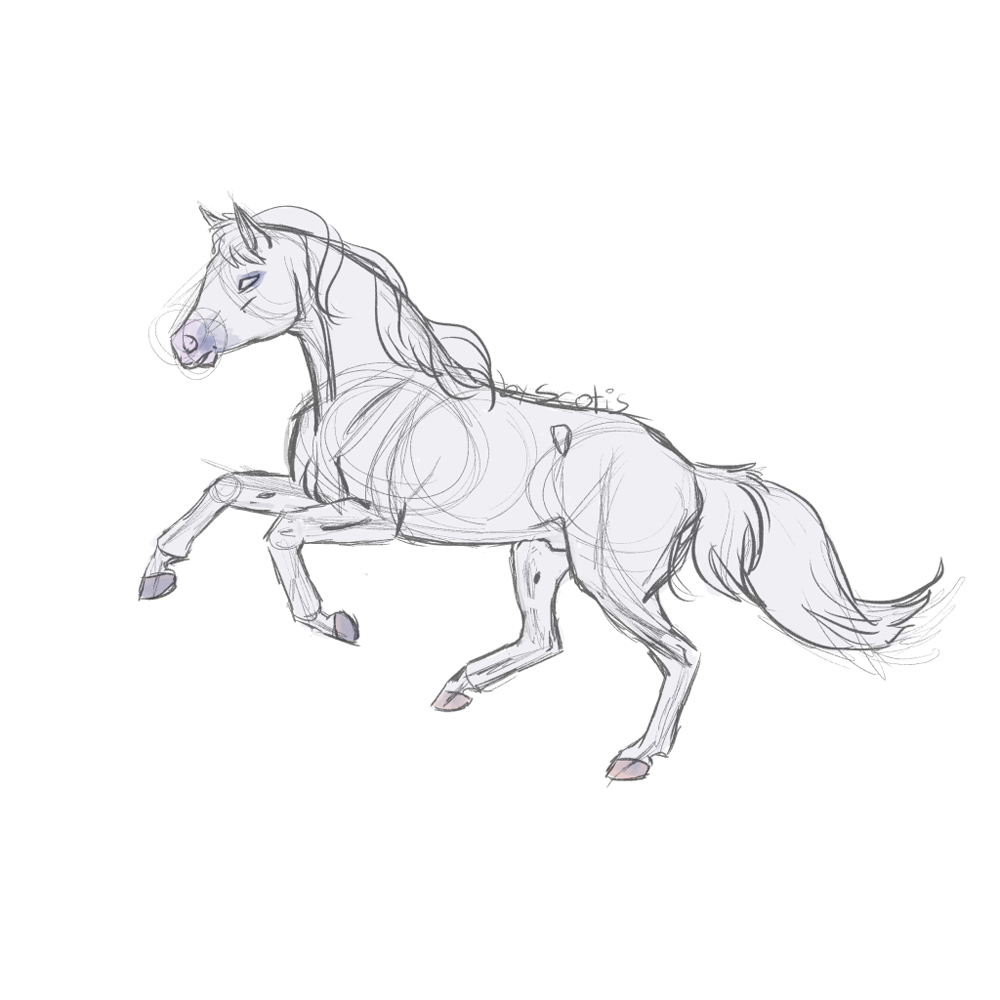 Cheval de selle gris au galop, sketch de Scotis
