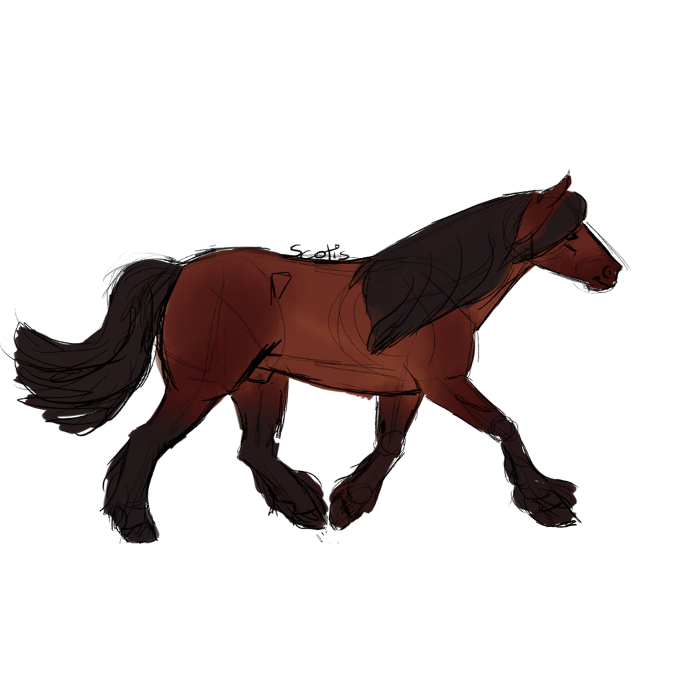 Cheval de trait bai au trot, croquis par Scotis