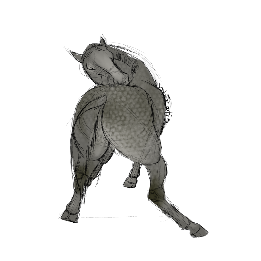 Cheval gris se grattant le dos, sketch par Scotis