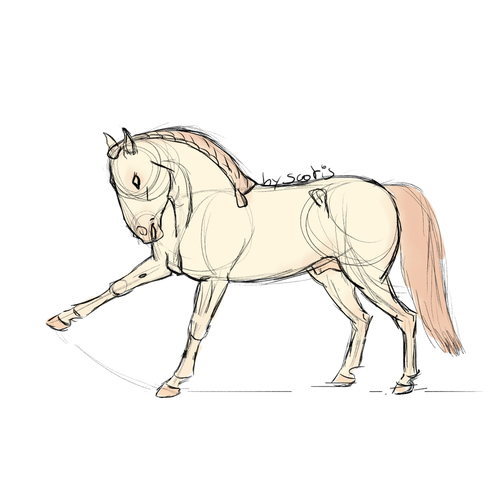 Cheval de selle crème faisant une jambette, sketch par Scotis