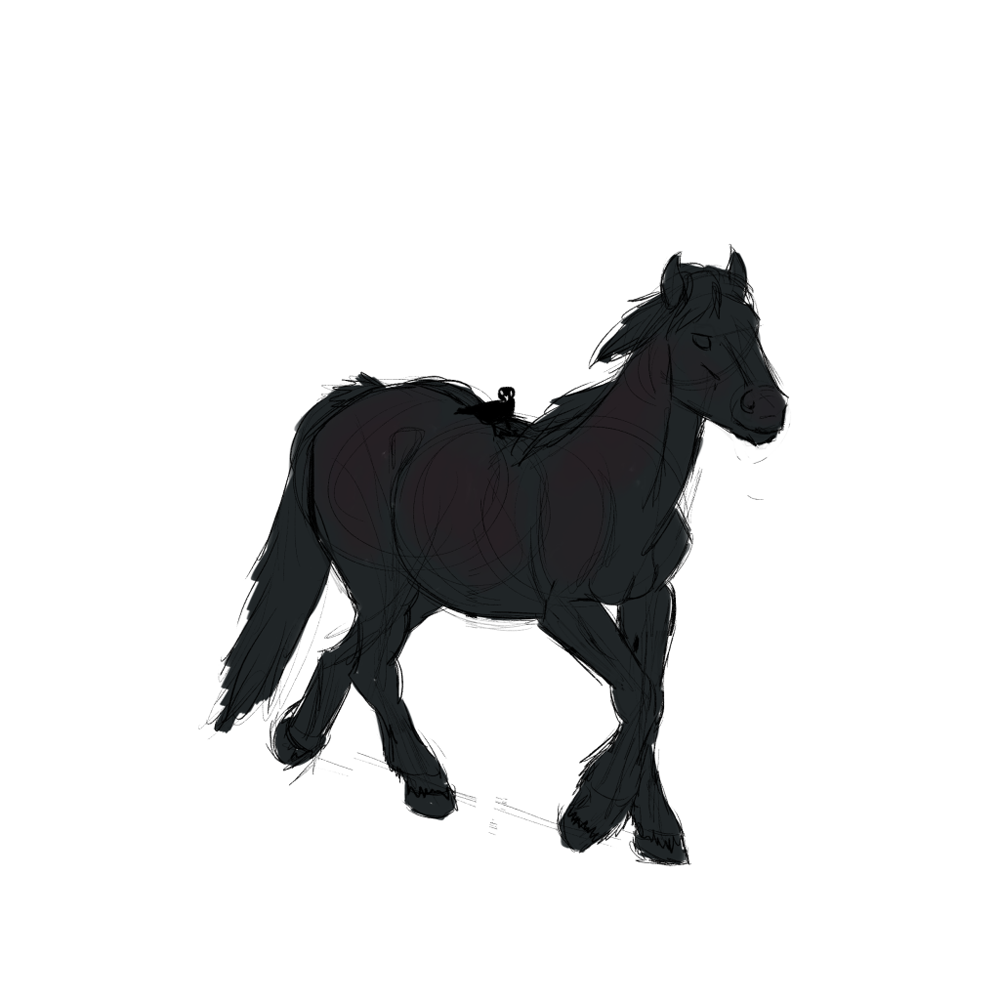 Cheval semi-trait noir marchant avec un corbeau sur le dos, sketch par Scotis