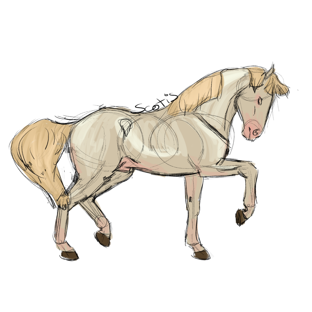 Cheval de selle perlino réalisant un passage, sketch par Scotis