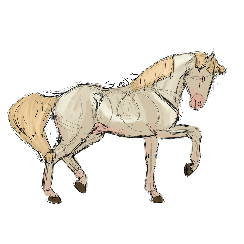 Un jour, un cheval. Le challenge des 100 sketch de chevaux par Scotis