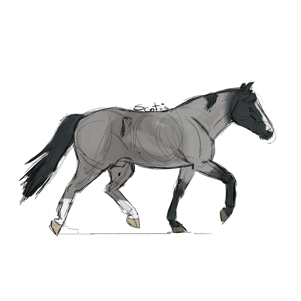 Cheval semi-trait noir rouan au trot, croquis par Scotis