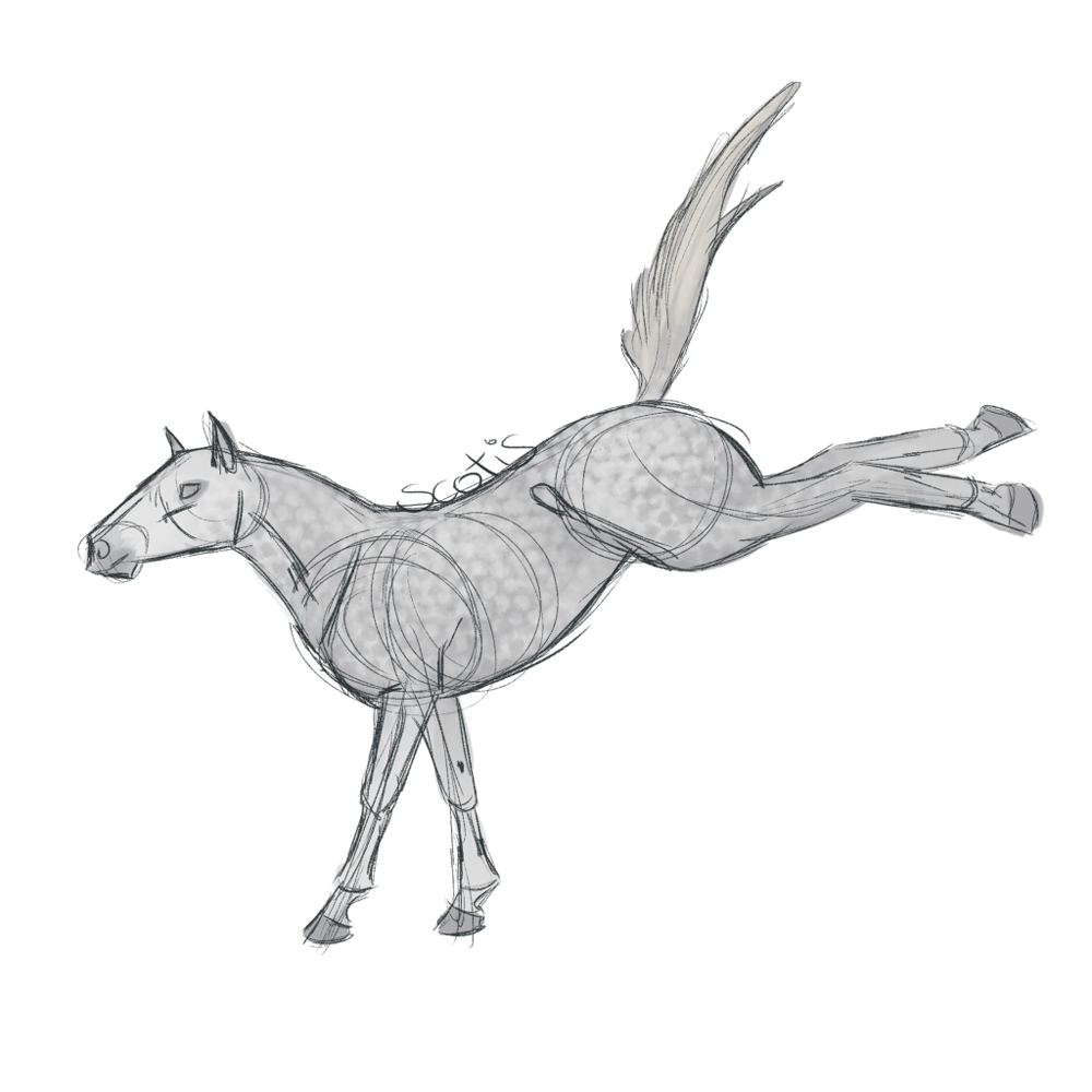 Cheval de selle gris ruant, croquis par Scotis