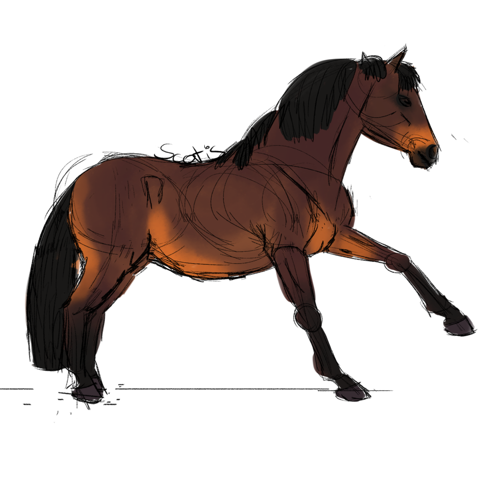 Cheval de selle bai faisant une jambette, croquis par Scotis