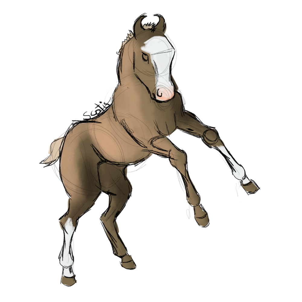 Poulain de selle alezan cabrant, sketch par Scotis
