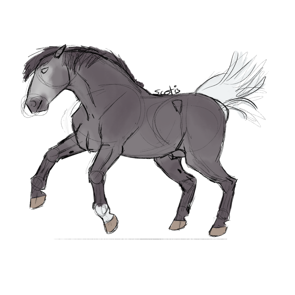 Cheval ibérique gris cabrant, sketch par Scotis