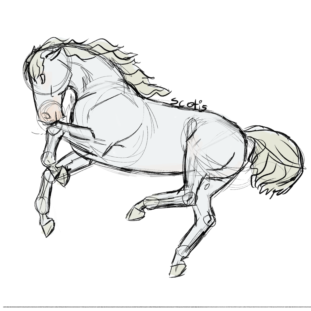 Cheval gris sautant en l'air, sketch par Scotis